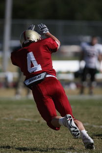 九游电竞-NBA球队人员调整对战术执行连续性的干扰分析,nba2konline球队战术